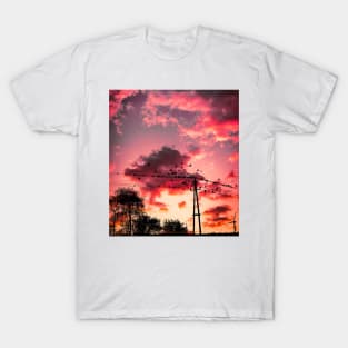 Sunset Birds T-Shirt